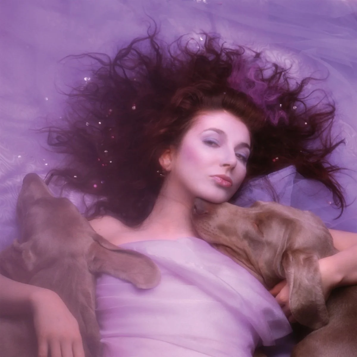 A 40 años de “Hounds of Love”: el quinto álbum de Kate Bush — Pop